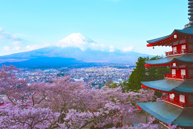 富士山・新倉山浅間公園・桜
