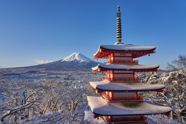 冬の新倉山浅間公園