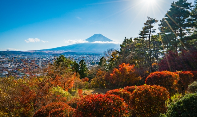 富士見孝徳公園の紅葉