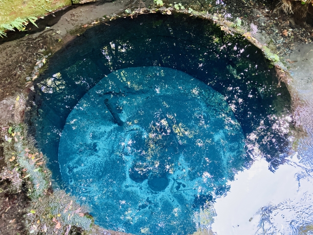 柿田川湧水群(駿東郡清水町)
