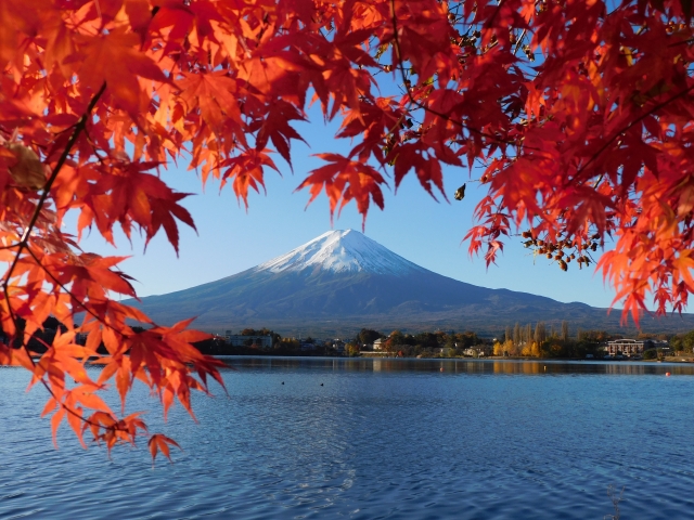 河口湖の紅葉と富士山