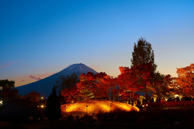 河口湖の紅葉のライトアップと富士山