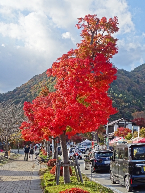 紅葉の時期の河口湖周辺
