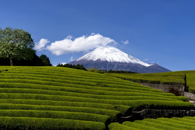大渕笹場