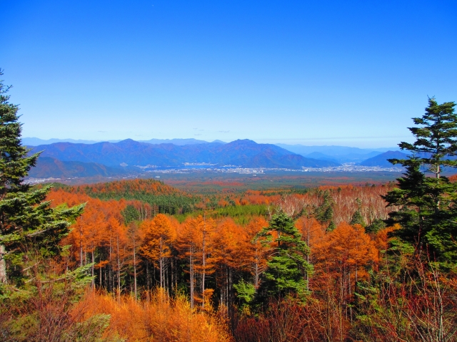 富士スバルラインから眺める紅葉