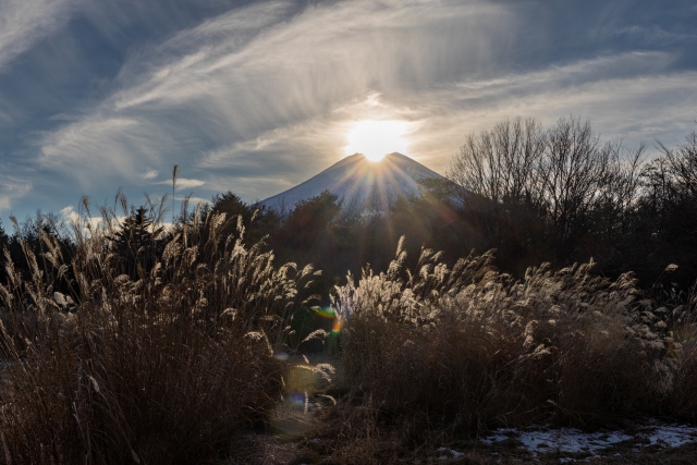 花の都公園からのダイヤモンド富士