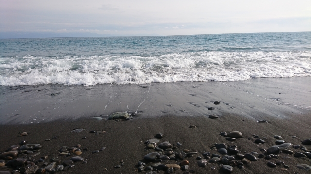 三保の松原の海岸
