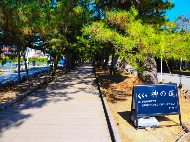 神の道