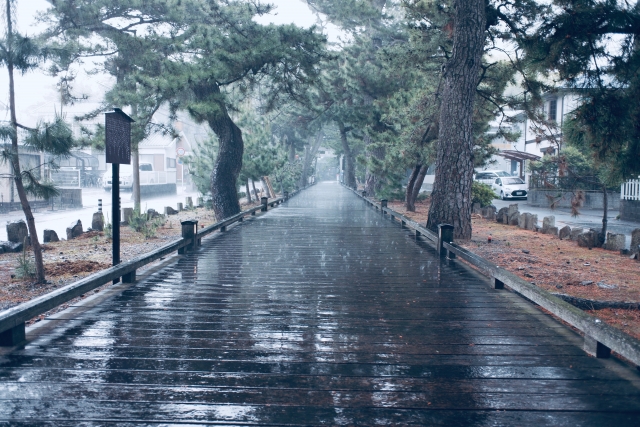 雨の日の三保松原の神の道
