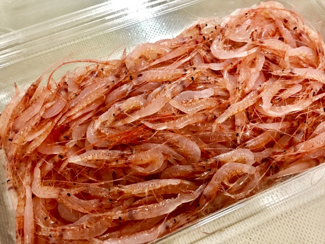 生桜えび