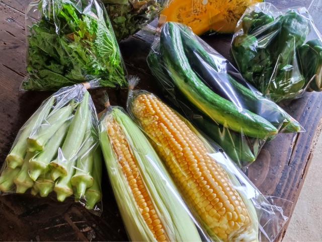 新鮮野菜の直売