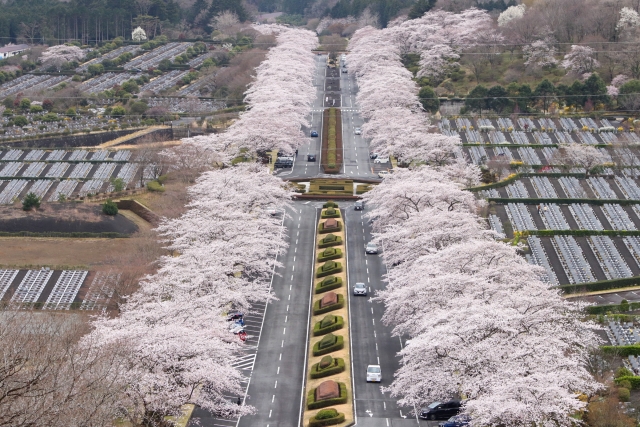 富士霊園