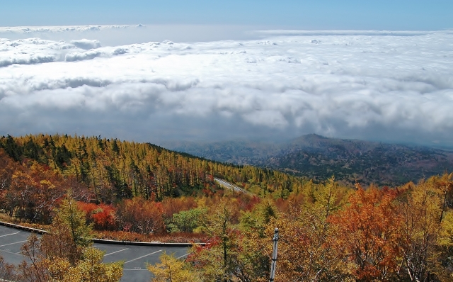 富士山五合目からの紅葉と雲海