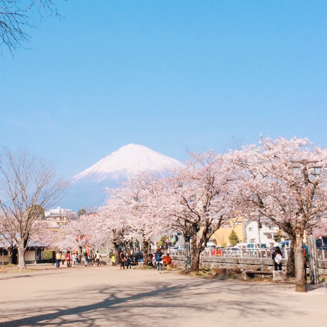 神田川ふれあい広場