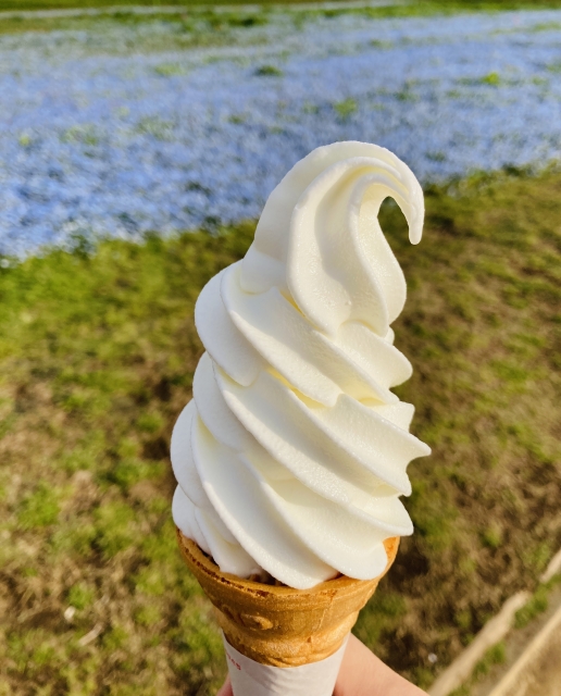 ソフトクリーム