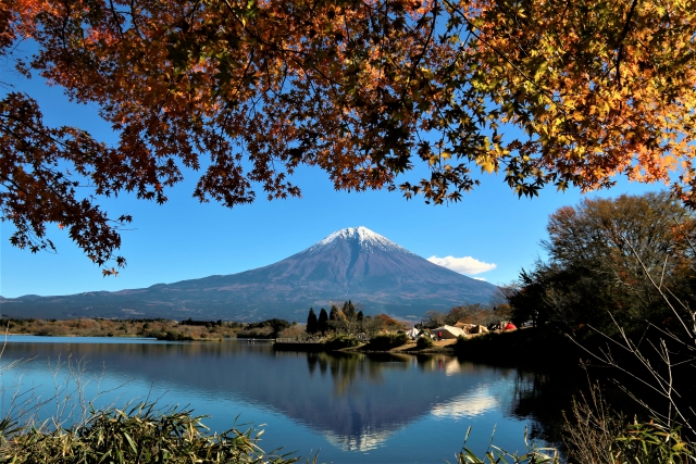 紅葉の田貫湖と富士山