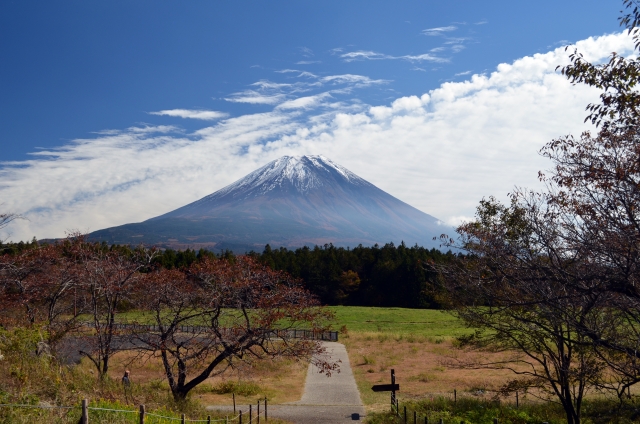 道の駅朝霧高原富士山展望台