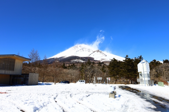冬の水ヶ塚公園からの富士山