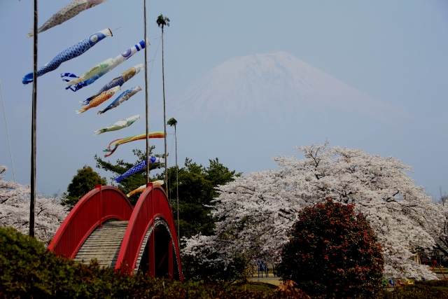 春のもちや遊園地