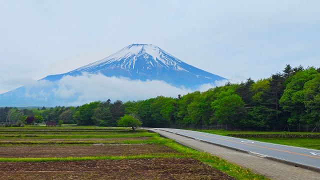 富士山麓の畑