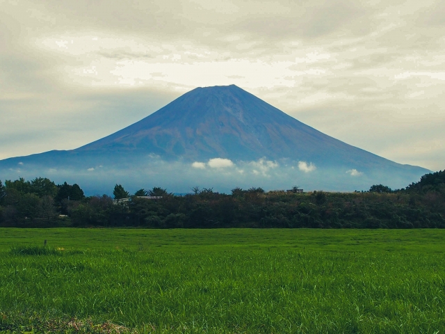 夏の朝霧高原と富士山