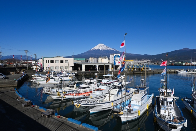 富士山と田子の浦漁港
