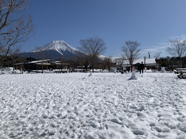 朝霧高原の冬と富士山