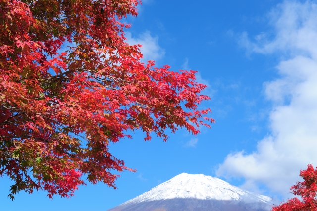 西臼塚公園からの富士山と紅葉