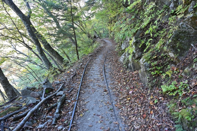 旧森林軌道跡(トロッコ道)