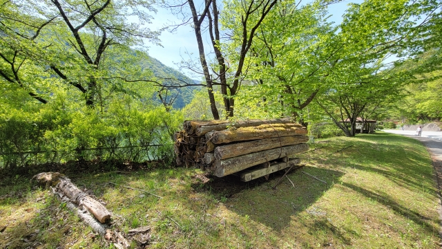 旧森林軌道(トロッコ)道