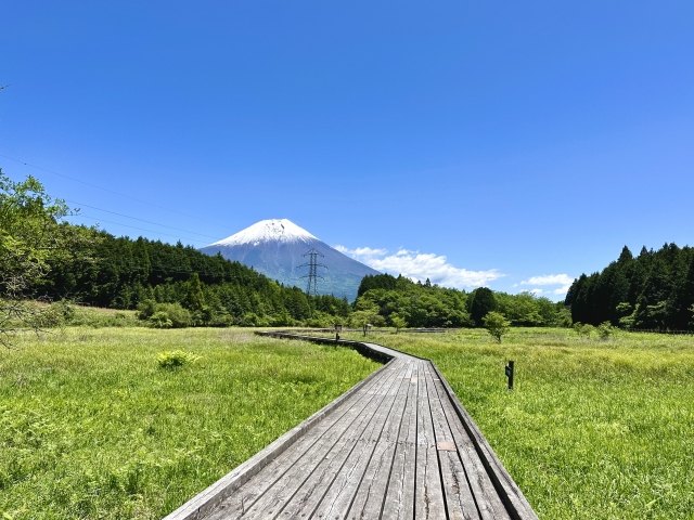 小田貫湿原
