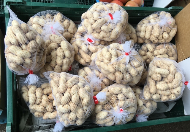 ジャンボ生落花生の販売