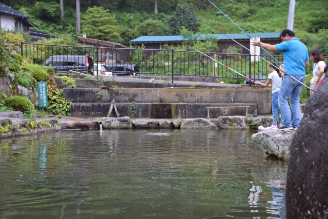 ニジマス釣り