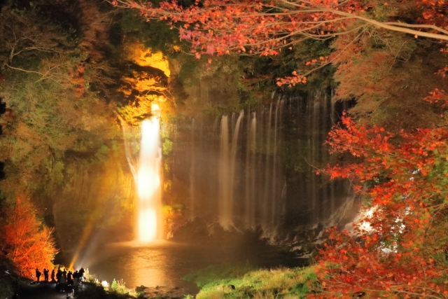 白糸の滝の紅葉とライトアップ