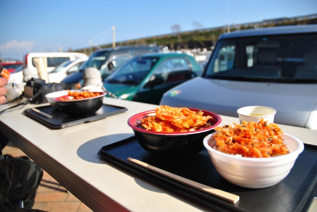 由比漁港エリアでランチ