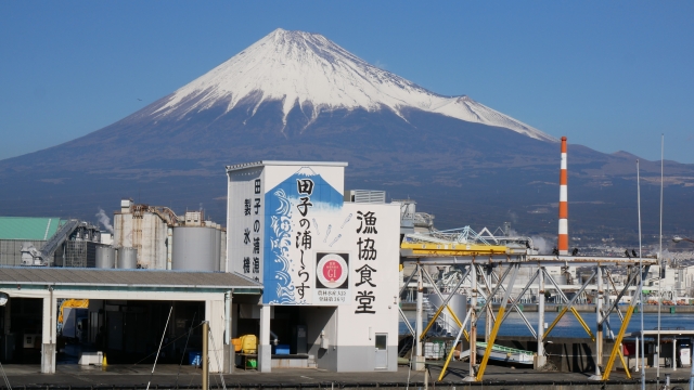 田子の浦港漁協食堂