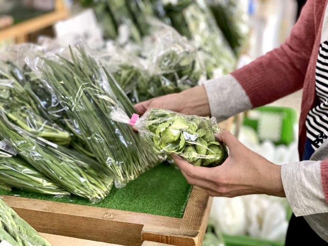 野菜直売所