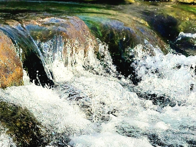 湧玉池の水の流れ