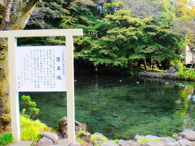湧玉池の案内板