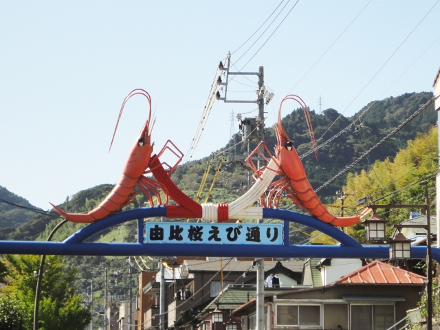 由比桜えび通り