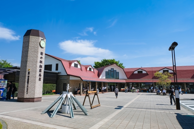 道の駅朝霧高原