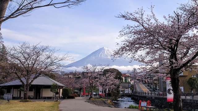 神田川ふれあい広場