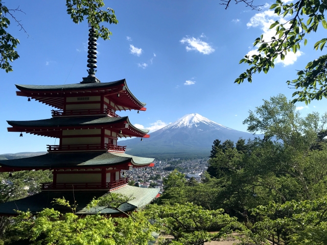 新緑の新倉山浅間公園