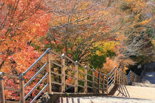 新倉山浅間公園の階段