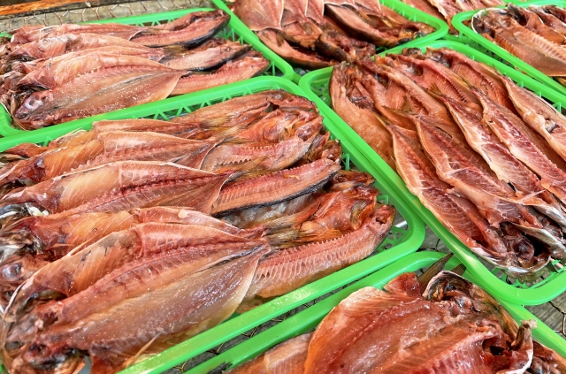沼津港のアジの干物