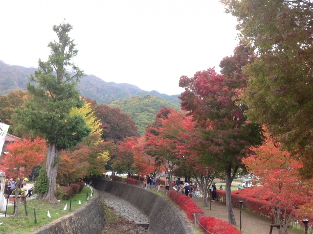 河口湖もみじ回廊