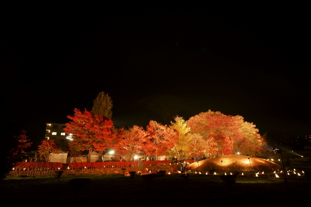 紅葉まつり会場のライトアップ