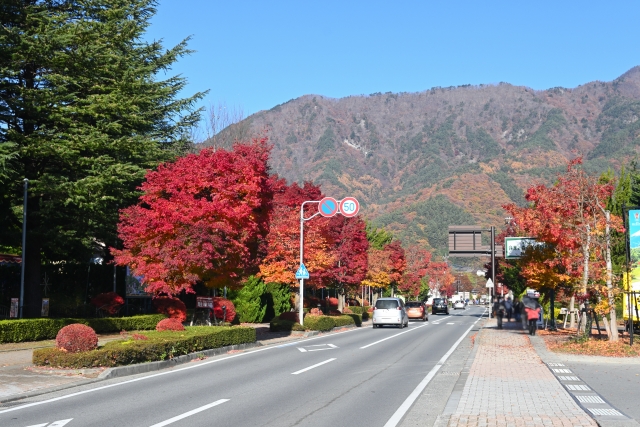 河口湖もみじ街道