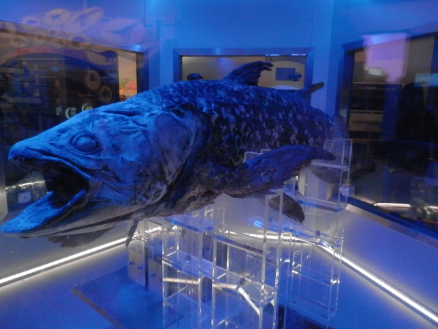 沼津港深海水族館