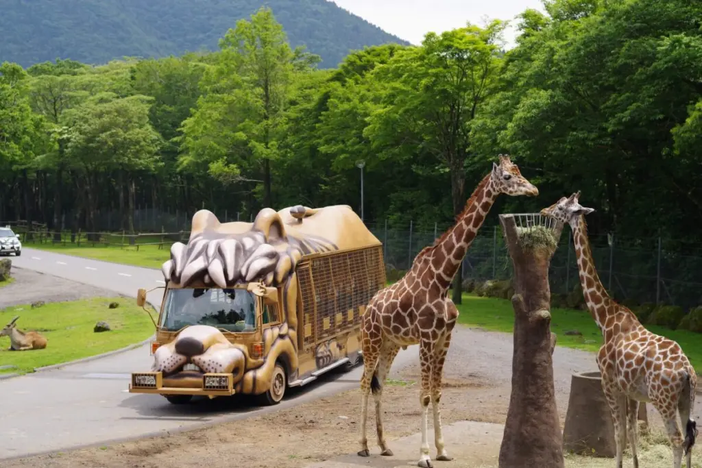 富士サファリパーク園内①
